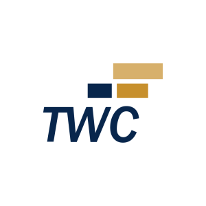 tax wise consultant