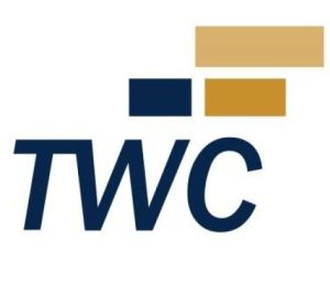 tax wise consultant